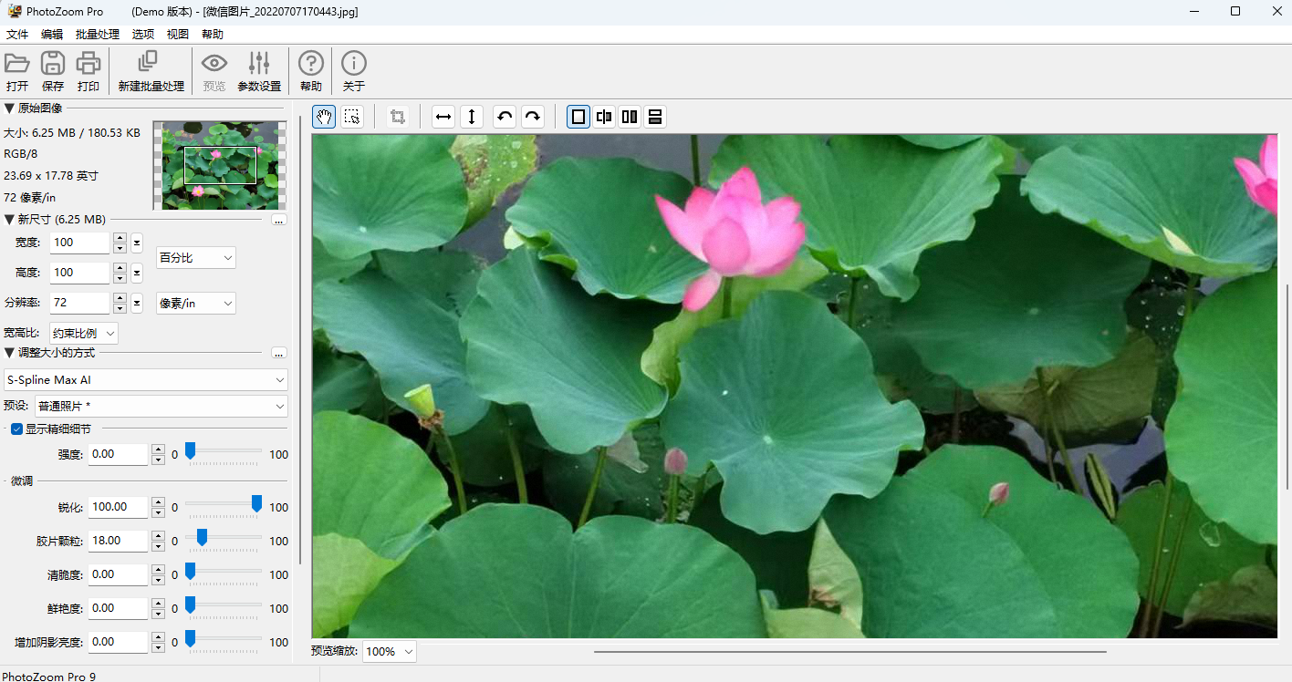 PhotoZoom Pro 9ͼ3